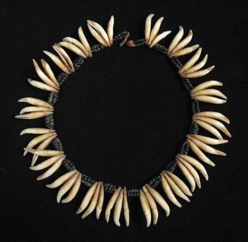 African Tribal Art - Dog's teeth necklace, South Africa, reverse