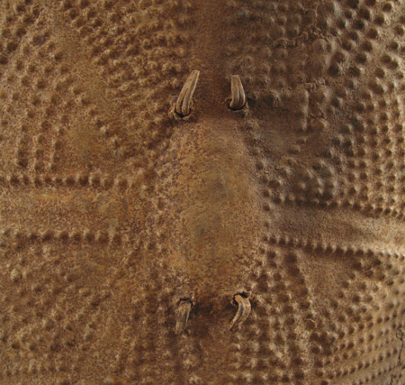 African Tribal Art - Shield, Wandala, Northern Cameroon, detail front