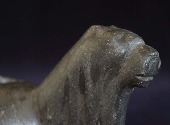 Conopa detail