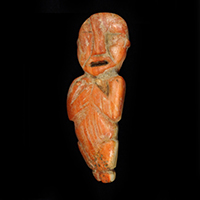 Spondylus figure