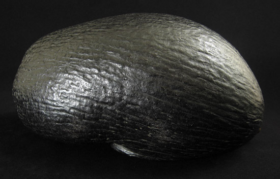 Asian Tribal Art - Coco de mer kashkul, Persia, back 2