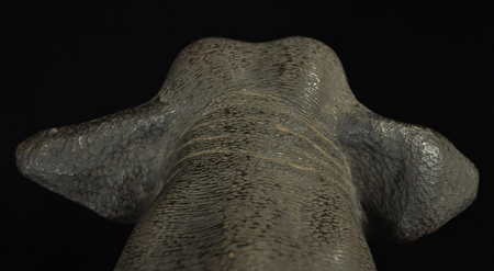 Bronze elephant detail