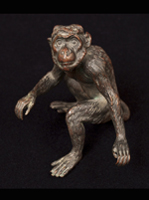  Iron monkey, Origin unknown