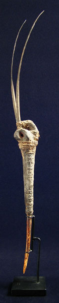 Oceanic Art - Cassowary bone dagger, Abelam, Papua New Guinea, right side