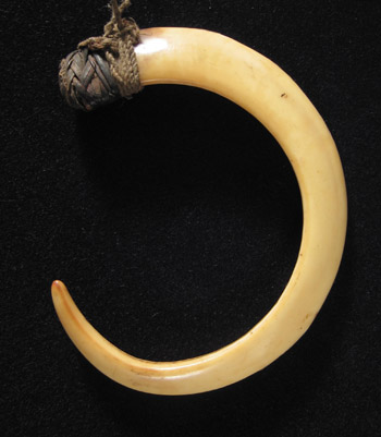 Oceanic Art -  Pig's tusk, Huon Gulf, Papua New Guinea