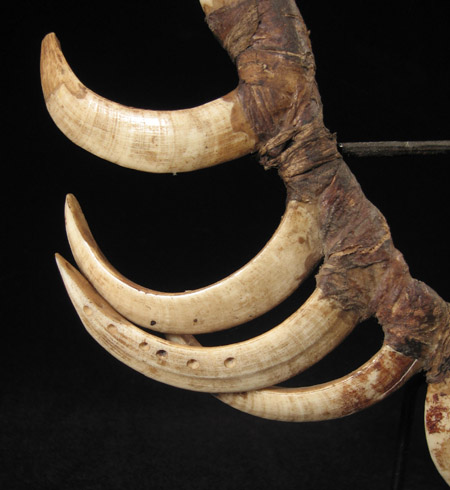 Oceanic Art - Boar's tusk mouth ornament, Papua New Guinea, detail