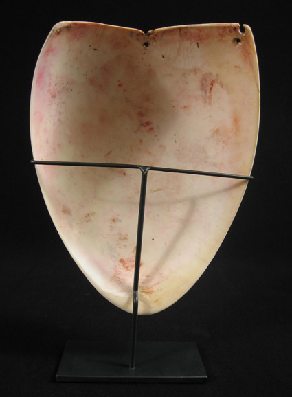 Oceanic Art - Bailer shell pectoral, Highlands, Papua New Guinea, back