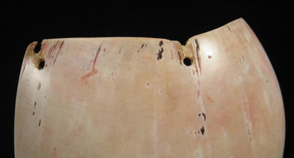 Oceanic Art - Bailer shell pectoral, Highlands, Papua New Guinea, detail