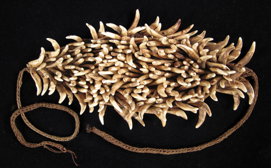 Oceanic Art - Dog's teeth headband, Coastal Sepik, Papua New Guinea, full