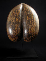 Asian Tribal Art - Coco de mer basket, India