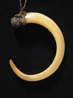 Oceanic Art -  Pig's tusk, Huon Gulf, Papua New Guinea