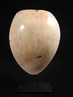 Oceanic Art - Bailer shell pectoral, Highlands, Papua New Guinea