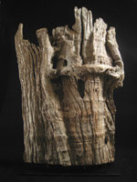 Asian Tribal Art - Scholar's wood piece, China