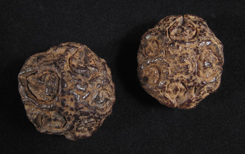 Asian Tribal Art - Lotus pods, China