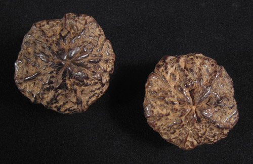 Asian Tribal Art - Lotus pods, China, back