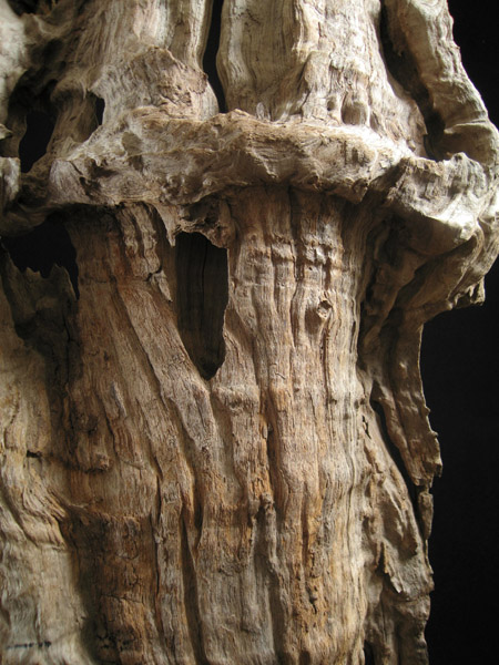 Asian Tribal Art - Scholar's wood fragment, China, detail