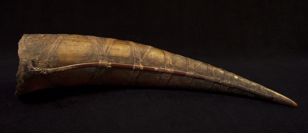 Asian Tribal Art - Drinking Horn, Nagaland, Northeast India, spine