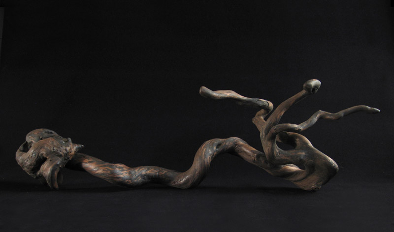 Asian Tribal Art - Burl wood hook, Japan