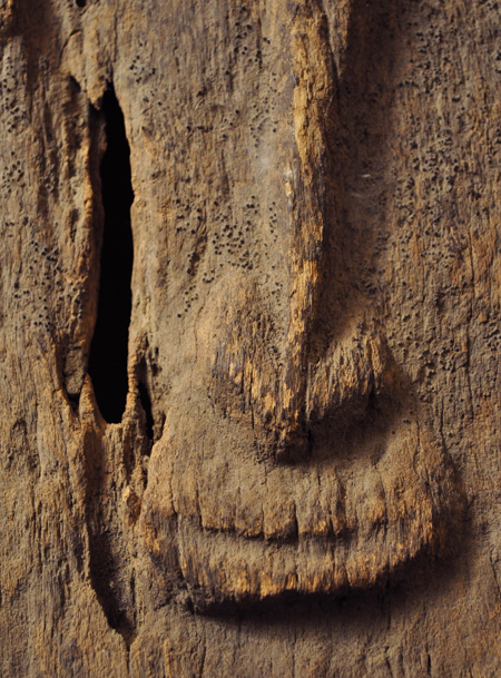 Blackwater River face detail